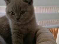 Am 01.04.2022 haben wir, sieben wunderschöne,