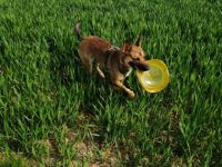 Ein Familienmitglied muss aus gesundheitlichen Gründen