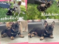 Am 17. April 22 hat unsere Matilda sechs Welpen bei