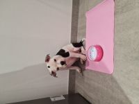 Schweren Herzens haben wir entschieden uns von unserer