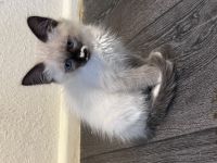 Wir sind Abgabe bereit . Suchen ein neues Zuhause Hallo