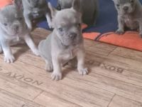 Wir dürfen endlich ausziehen und freuen uns auf unsere