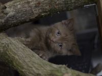 Halli Hallo und herzlich Willkommen, wie schön, dass du