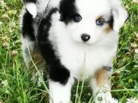 Ab sofort sind Intressenten eingeladen unsere