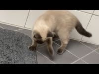 Hallo ☺️ Meine Schwester und ich geben unsere 