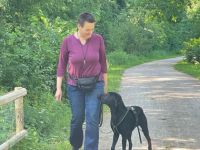 Hundeschule Stadtrandpfoten