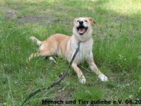 Jule wurde mit ihrer Mutter aus schlechter Haltung