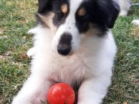 Wir haben in der Nacht vom 23.auf den 24. Mai von