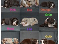 Nicht geplant und doch passiert, Kinder der Liebe. 1