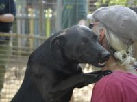 Billy-baut gerne Sandburgen, braucht dabei aber einen sicheren Partner an seiner Seite