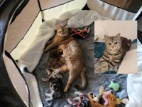 Schönen guten Tag, unsere Damen haben Nachwuchs