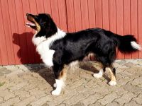 HOT'N SPICY'S SUMMERJAM AIDEN