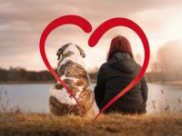 Mobile Hundeschule Rudelherz