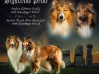 Seit dem 12.10.2022 dürfen wir uns über 5 gesunde