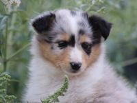 Am 28. Mai 2022 sind diese beide Herren in den frühen