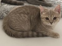 Hallo zusammen , leider und und mit gebrochenem Herz