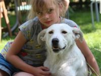 Hallo, hier sucht die Fellnase Polar nach seiner