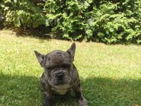 Unsere Ara hat uns am 07.04.22 ganz wundervolle