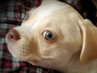 Paul und Ben sind Brüder und ergänzen sich wunderbar.