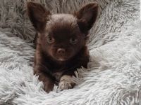 Am 2.06.22 haben unsere kleinen Diamanten problemlos