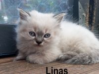 Der letzte Bub wartet noch auf sein Personal. Meine