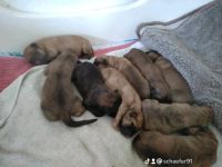 Allgemeines Abgabe mit 12 Wochen um den 17.10.2022