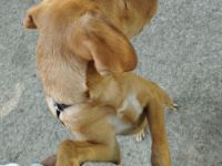 Chico, Hallo ihr lieben, aus privaten Gründen kann ich