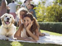 Ausbildung zum Hundetrainer DGHV Standard