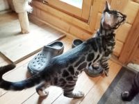 Besuchen Sie gerne unsere Homepage: https:/