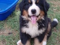 Unsere Fly von der Römerschanze hat am 17.06.22 , 8