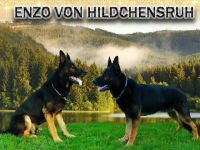 Enzo von Hildchensruh