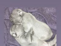 Liebe Grüße aus dem schönen Ungarn, wir haben