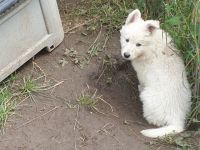 Unsere Heaven hat uns am 14.05.2022 5 Engelchen