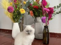 Wir sind eine private, familiäre, seriöse und