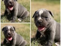 Guten Tag, Hiermit möchten wir Ihnen unsere