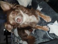 Sky, Ich muss mich leider schweren Herzens von meinem