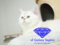 Snowball of Galaxy Saphir