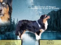 Fascination ID Black Deamon DNA-VP