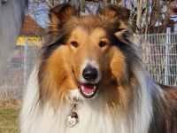 Fairytales Our Favorite "Baily"