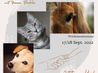 Wochenendseminar Tierkommunikation