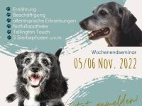 Wochenendseminar: Wenn Hunde alt werden - der geriatrische Hund