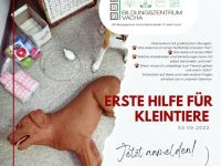 Erste Hilfe für Kleintiere - Tagesseminar