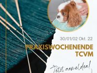 Seminar Praxiswochenende TCVM Fälleausarbeitung