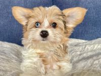 Unsere Babys sind was ganz besonders:-) Unsere