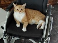 Das ist Felix und ist 11 Jahre alt. Er hat sein