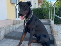 Hallo, schweren Herzens muss ich mich von meinem