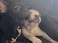 Es ist soweit.. wir haben uns lange davor gedrückt,