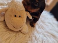 Udo, Hallo ihr Lieben. Ab Ende September habe ich eine