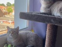 Hallo, wir müssen uns leider wegen Zeit mangeln von