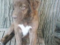 Die Welt wird immer schlimmer und die Hemmschwelle